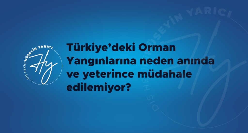 TÜRKİYE’DEKİ ORMAN YANGINLARINA NEDEN ANINDA VE YETERİNCE MÜDAHALE EDİLEMİYOR?